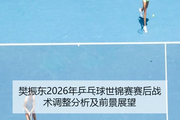 樊振东2026年乒乓球世锦赛赛后战术调整分析及前景展望