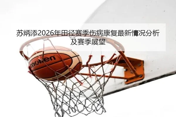 苏炳添2026年田径赛季伤病康复最新情况分析及赛季展望
